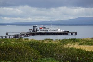 MV Tustumena landed at Cold Bay
